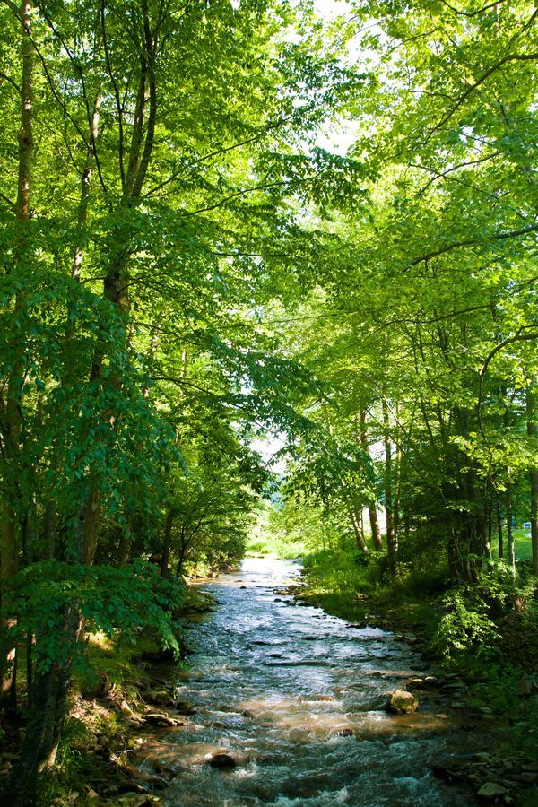 Valle Crucis Farm Exterior foto